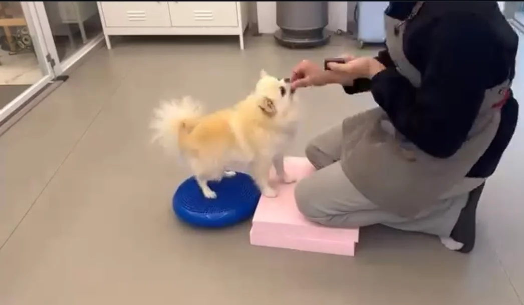 이미지 5