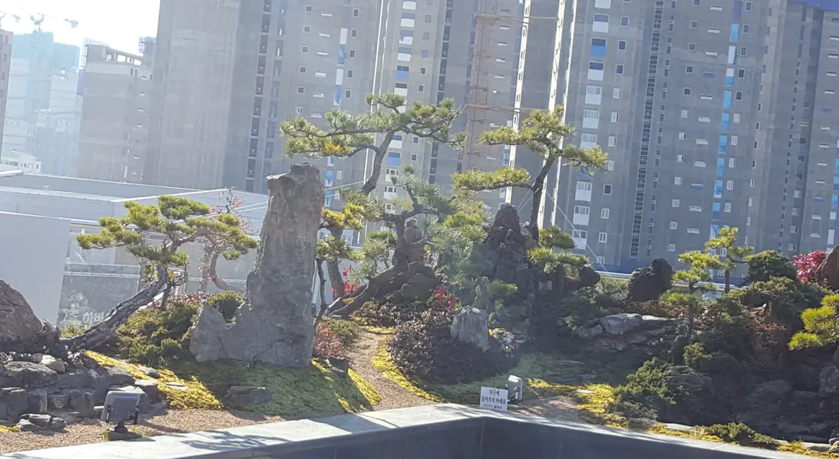 이미지 9