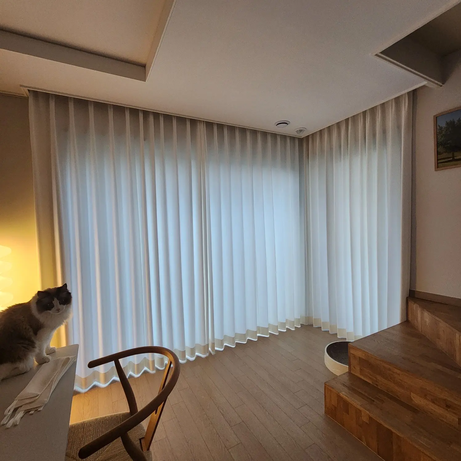 이미지 12