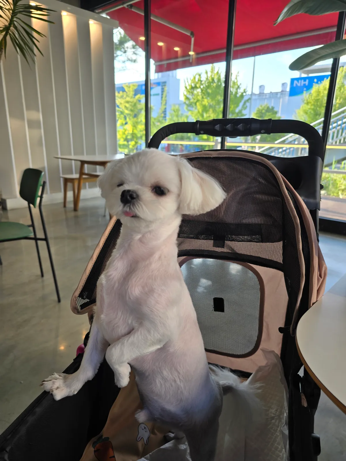 이미지 4
