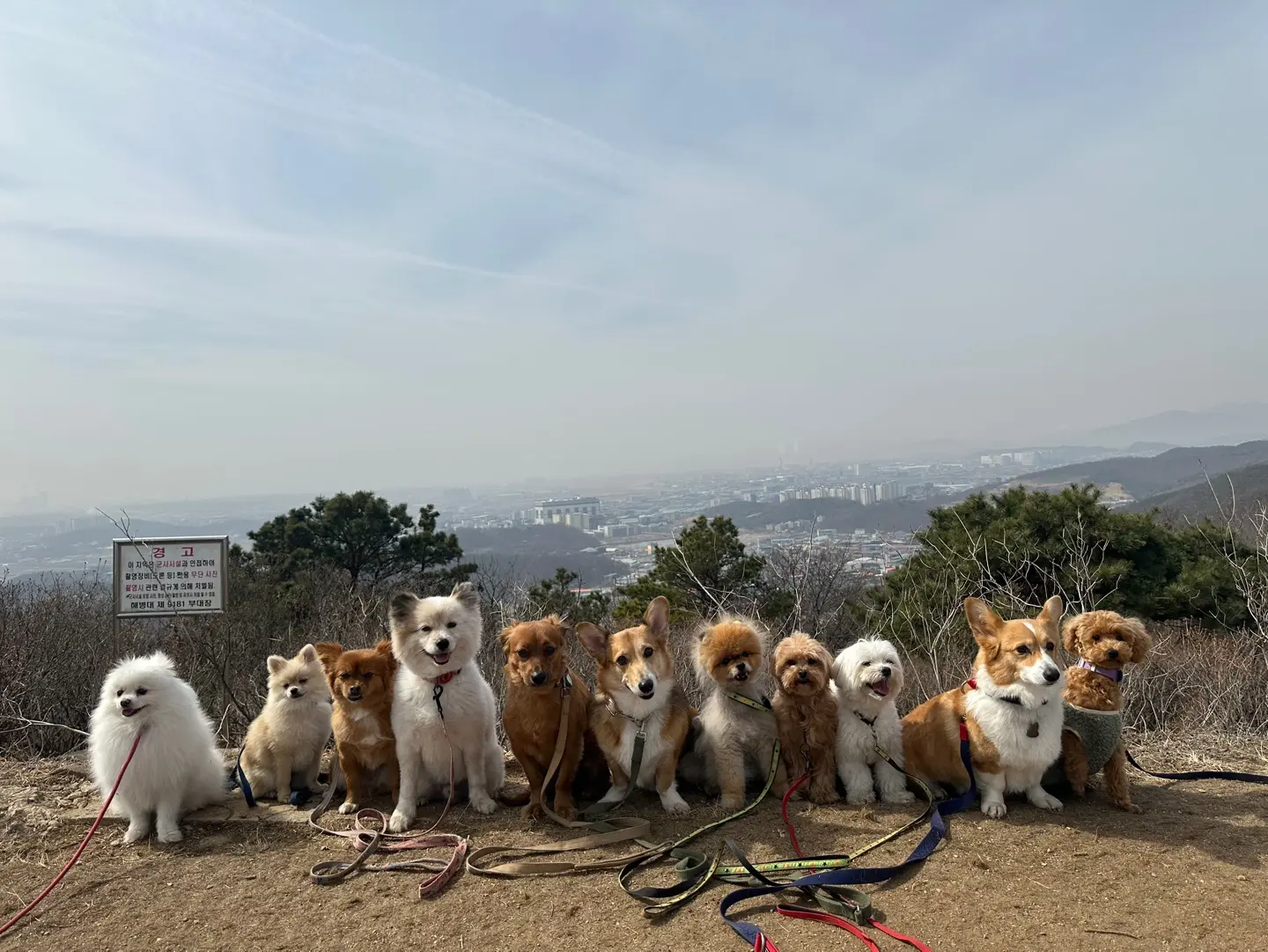 이미지 5