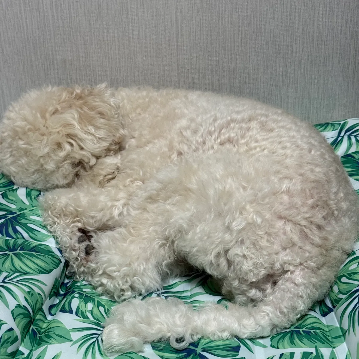 이미지 14