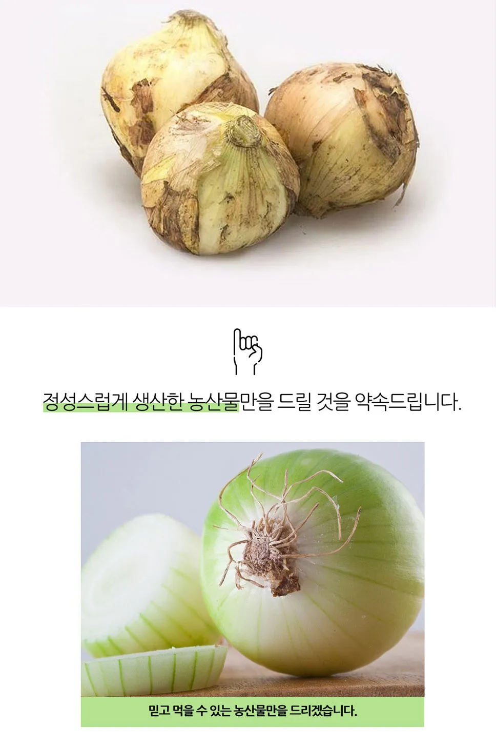 이미지 9