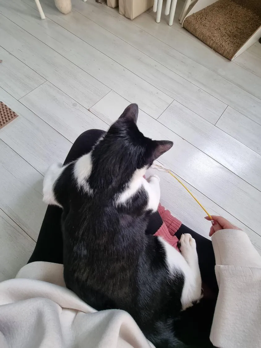 이미지 3