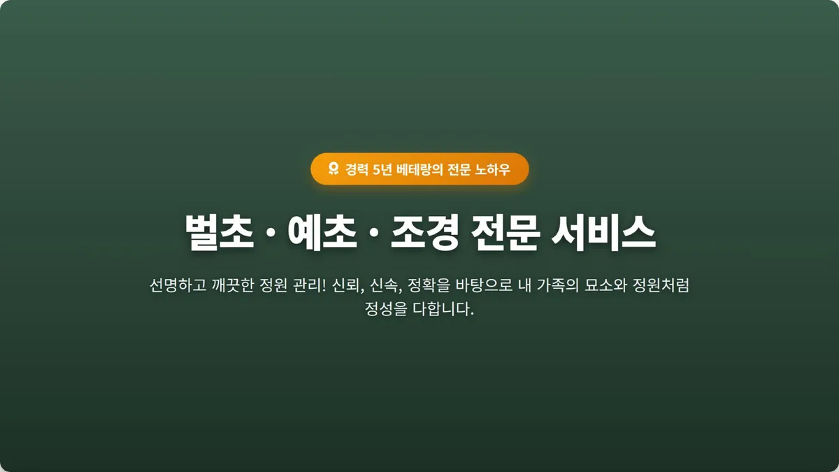 포트폴리오 이미지