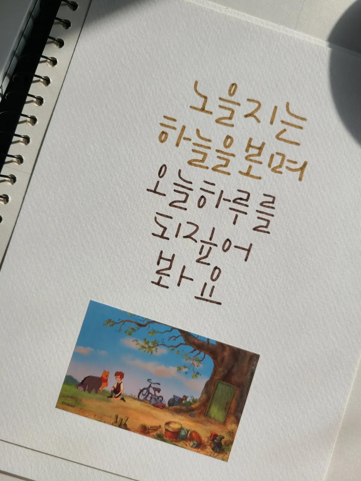 이미지 22
