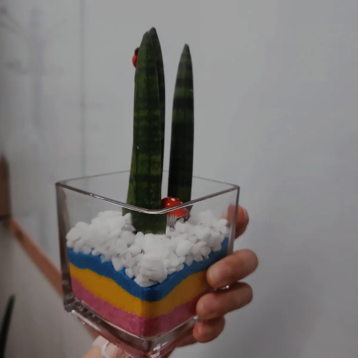 이미지 4