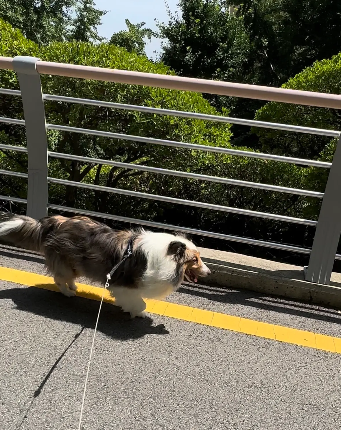 이미지 5