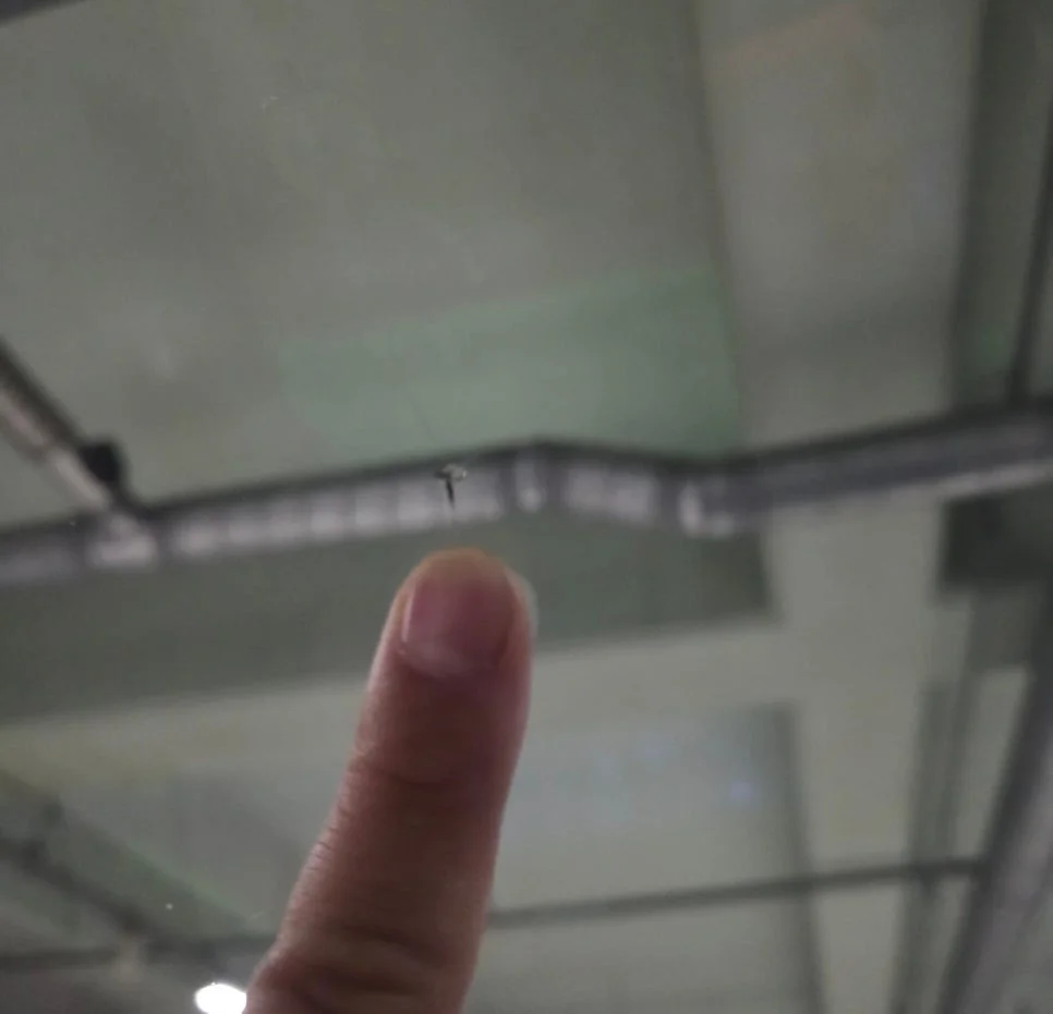 이미지 6