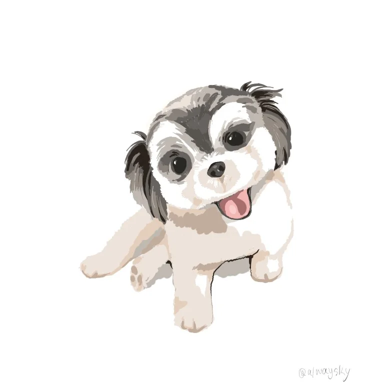 포트폴리오 이미지