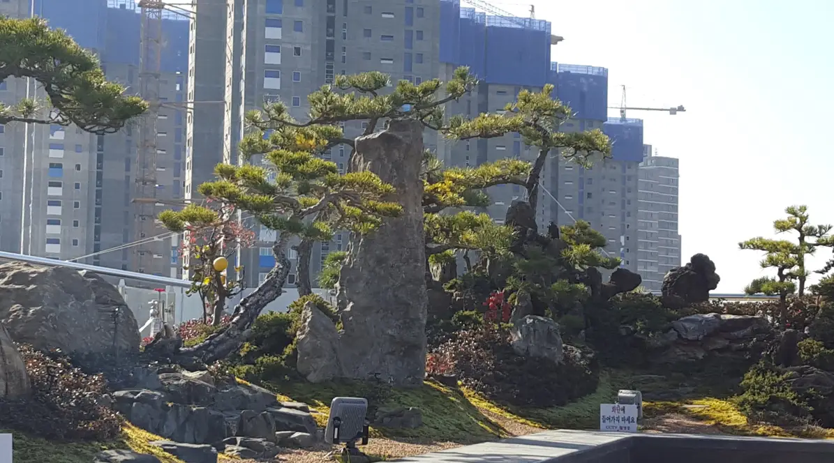 이미지 10