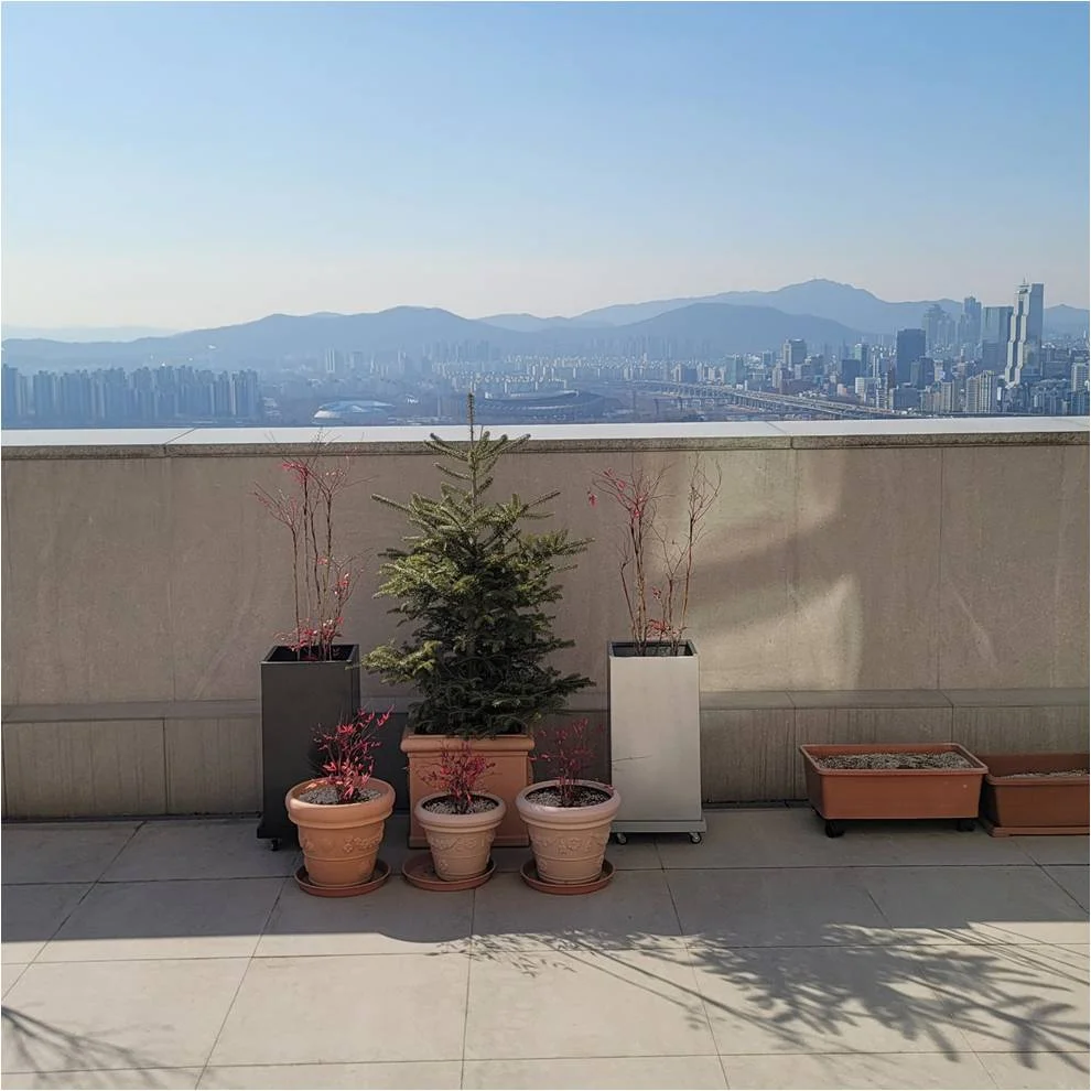 이미지 6