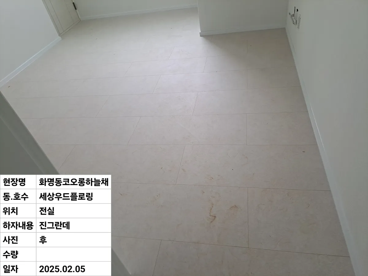이미지 5