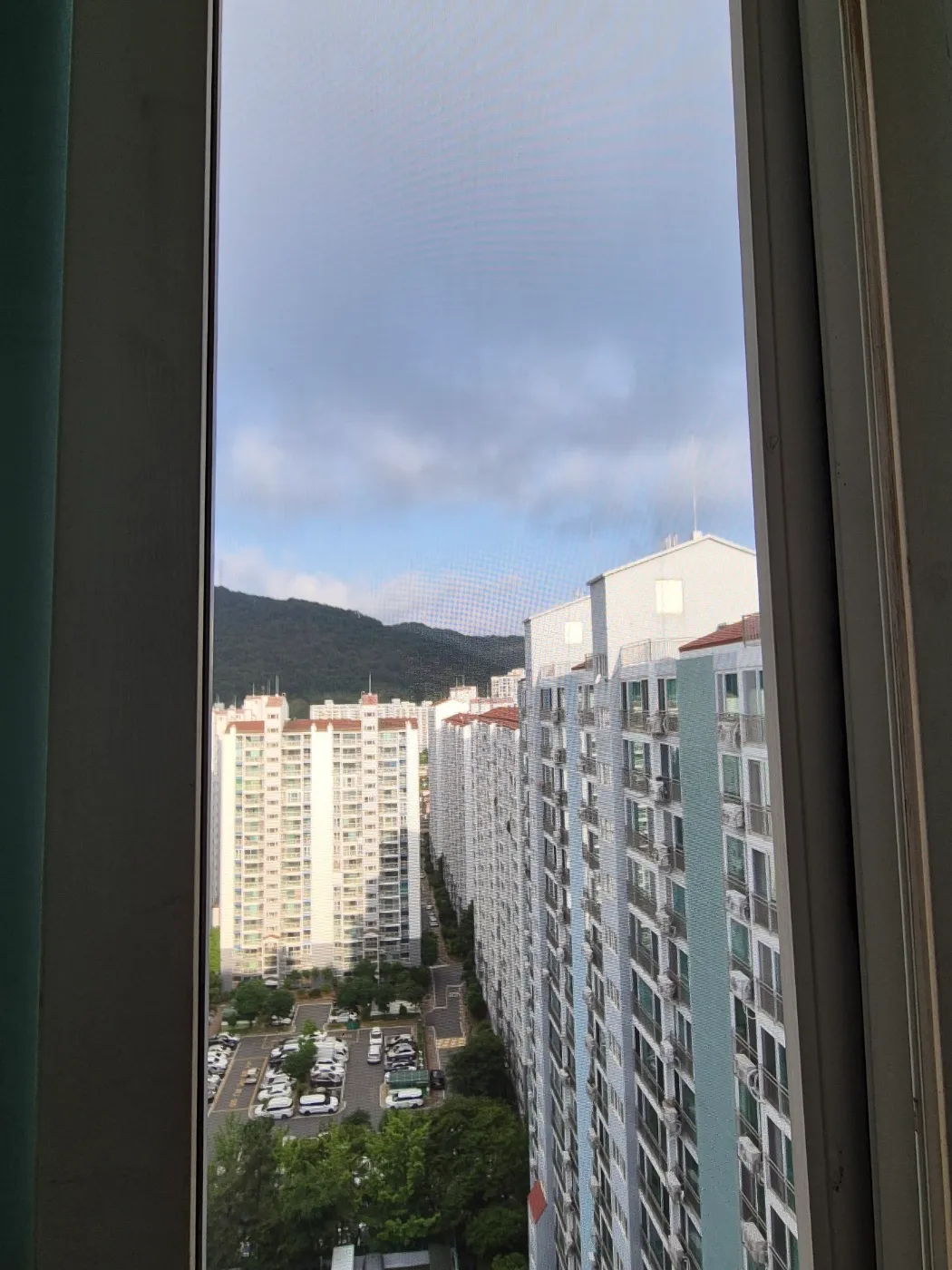 이미지 8