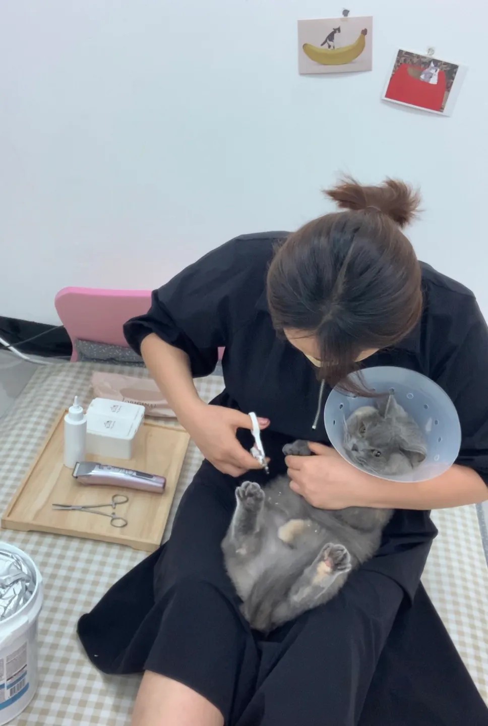 이미지 3