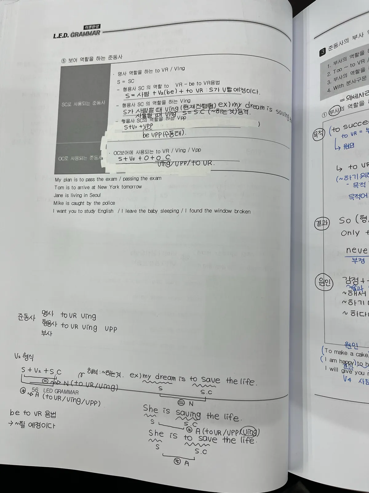 이미지 5
