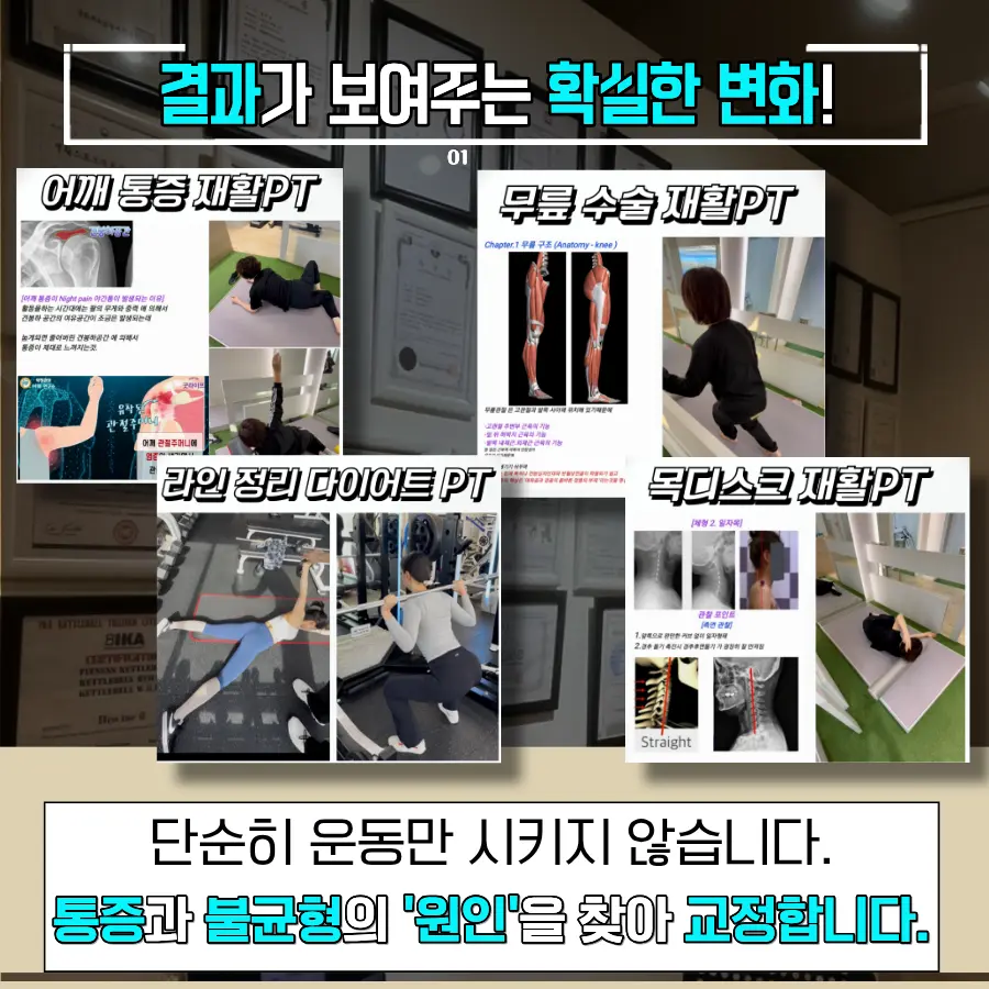 이미지 8