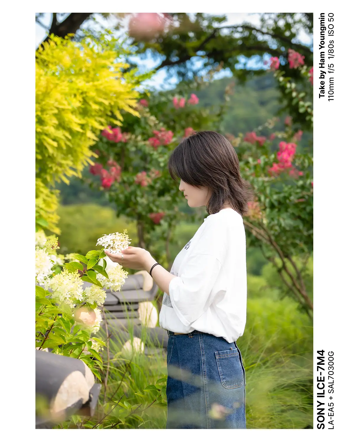 이미지 5