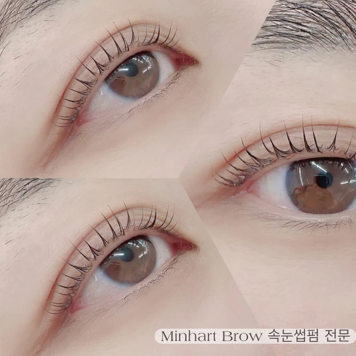 이미지 5