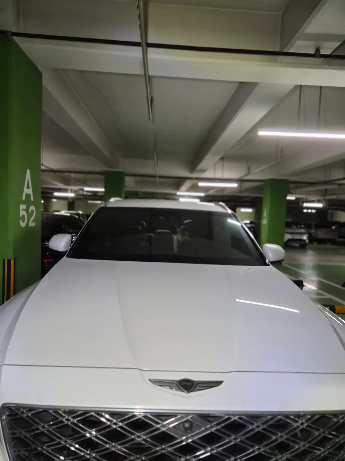 이미지 6