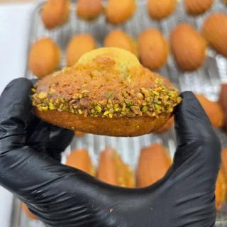 수섭사진