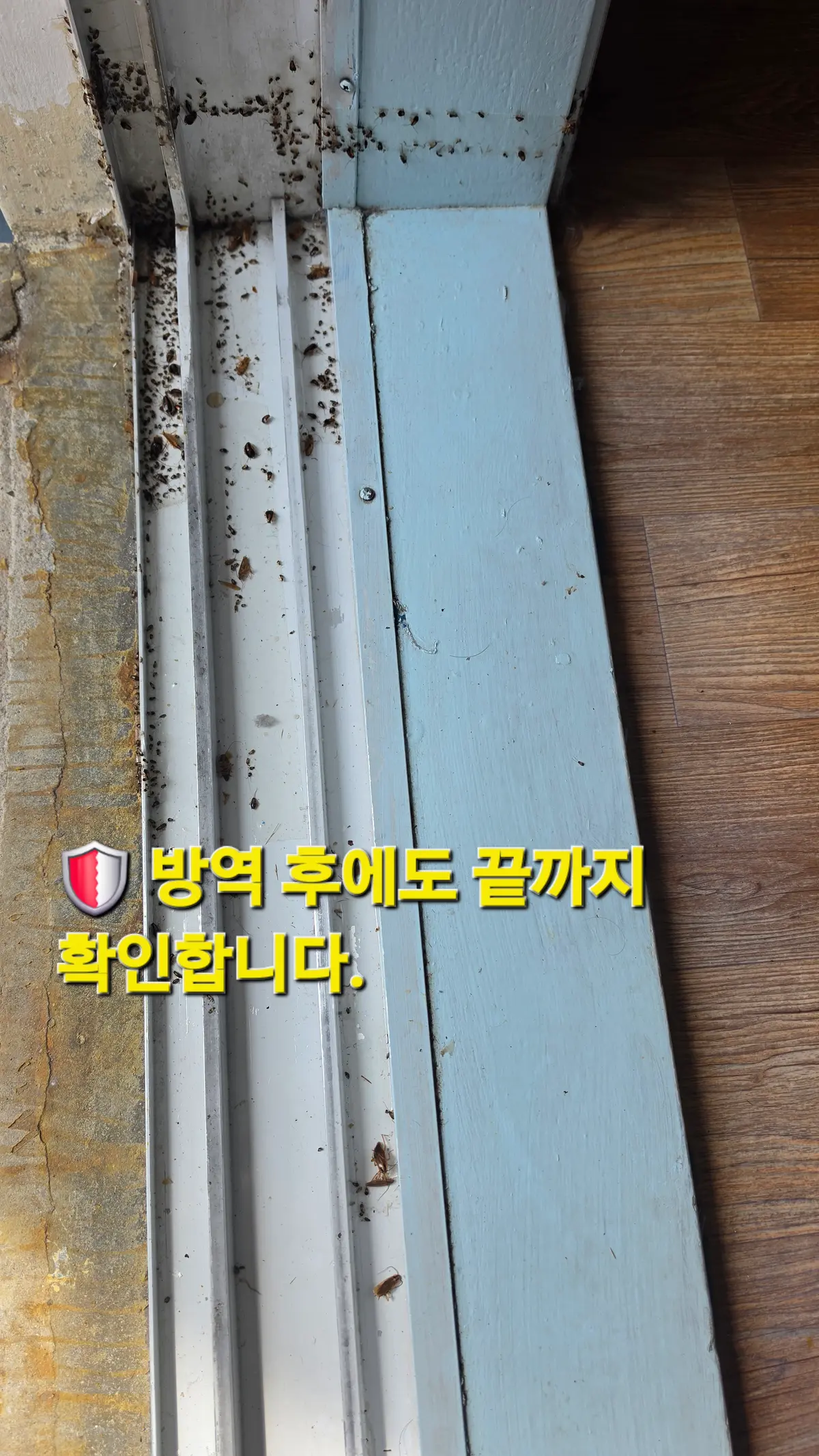 이미지 18