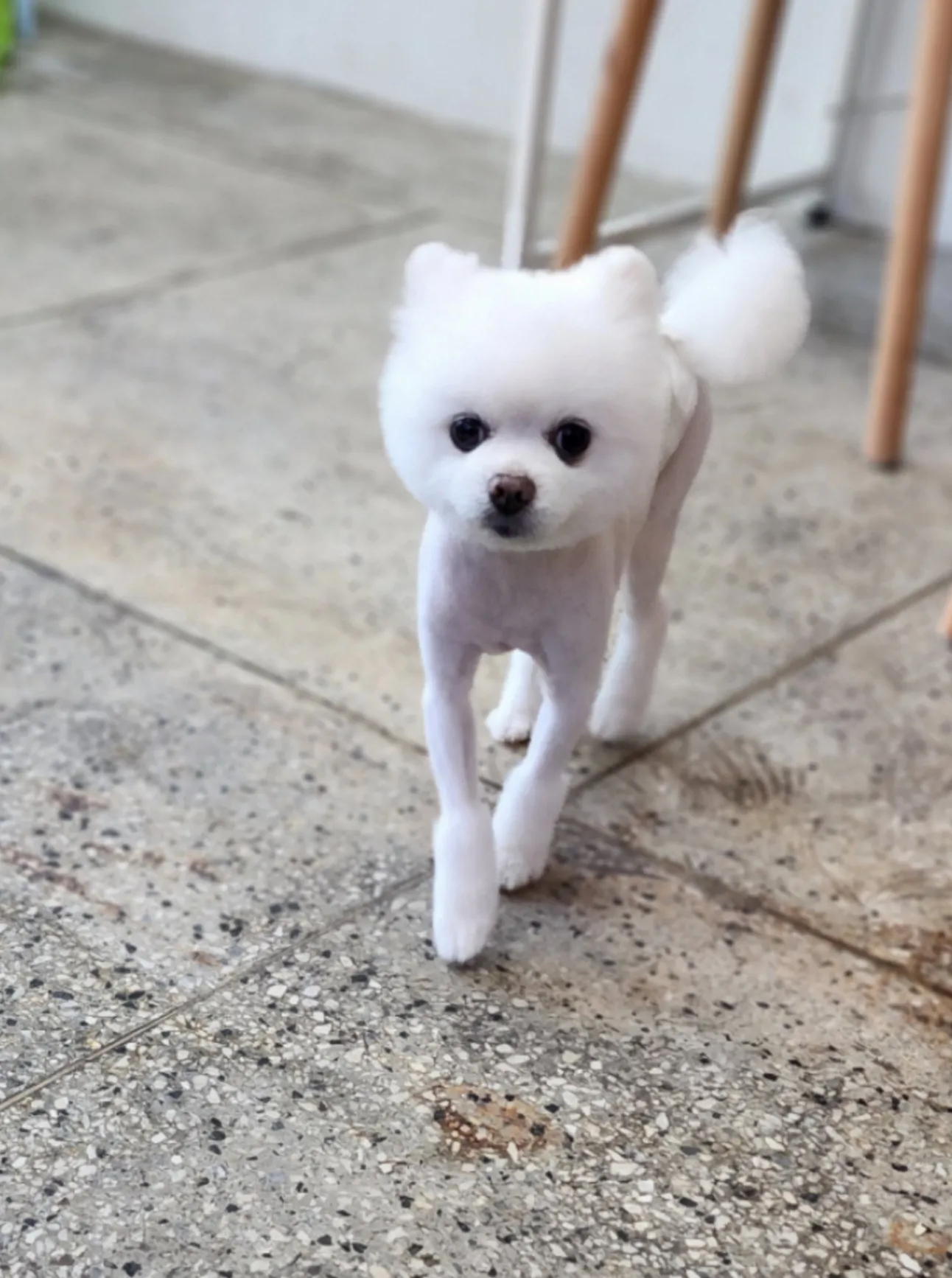 이미지 3