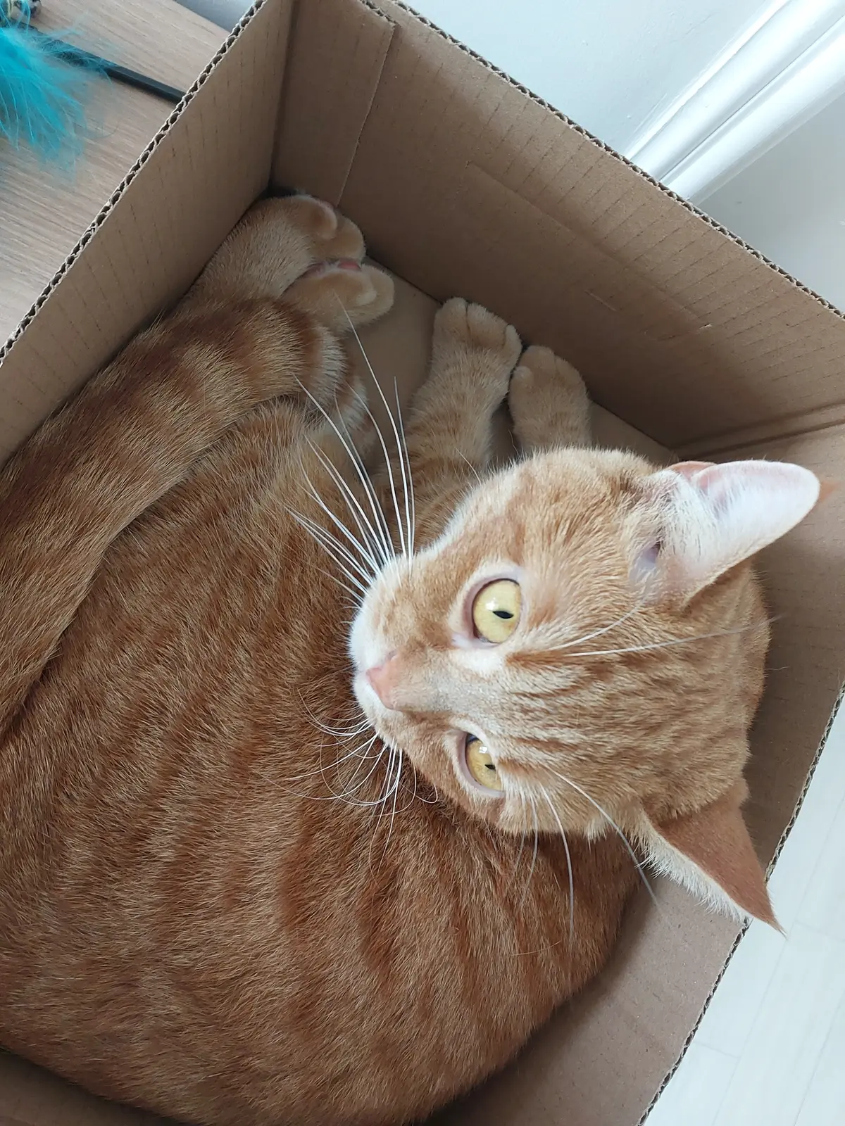 이미지 6