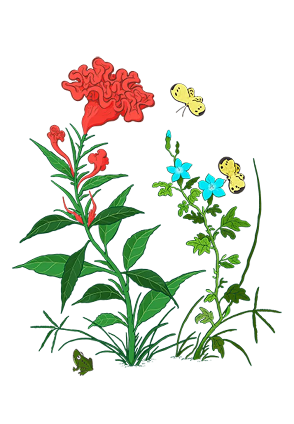 포트폴리오 이미지