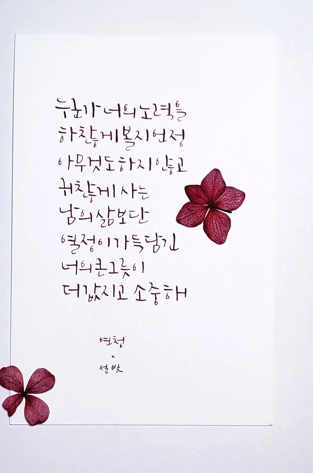 이미지 3