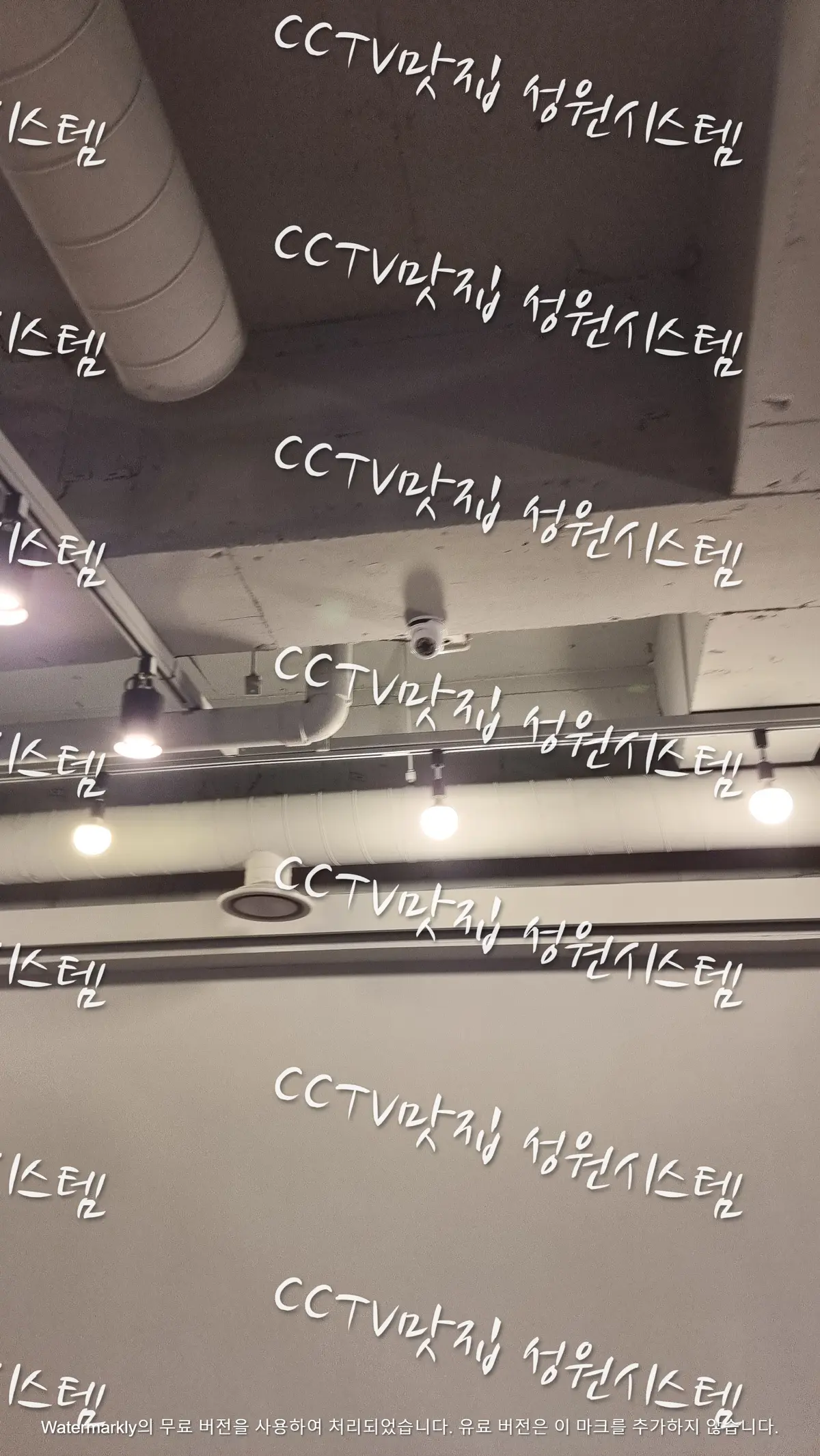 이미지 5