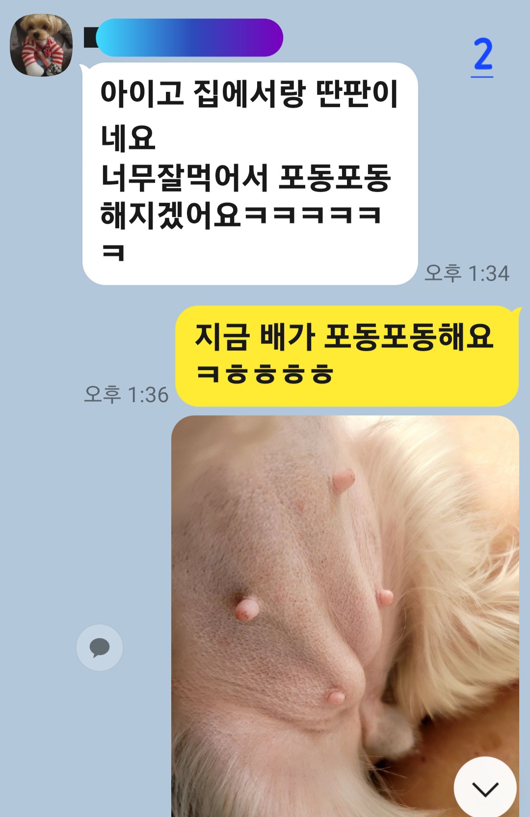 이미지 4