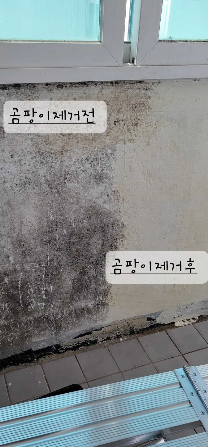 이미지 8