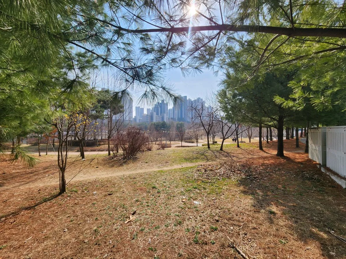 이미지 16
