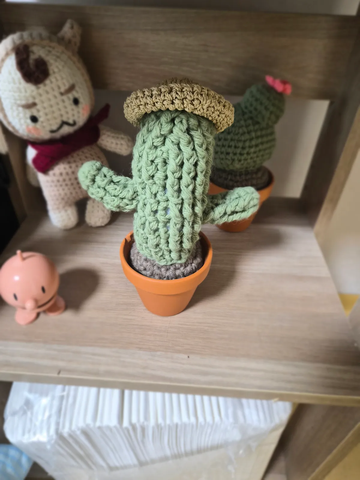 이미지 6
