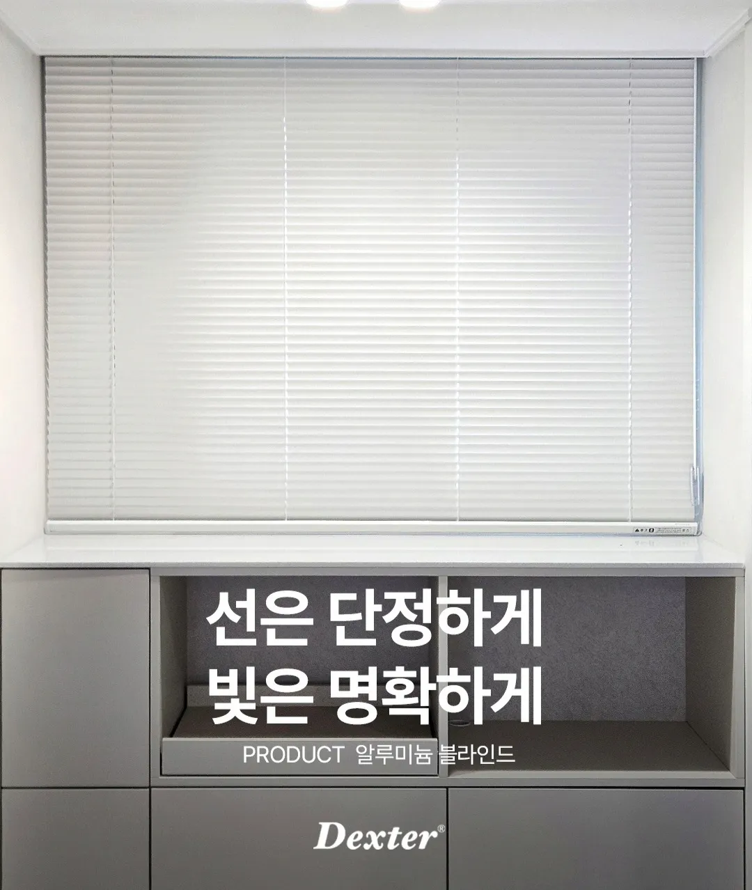 이미지 8