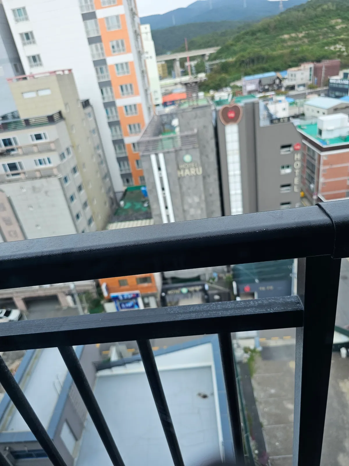 이미지 10