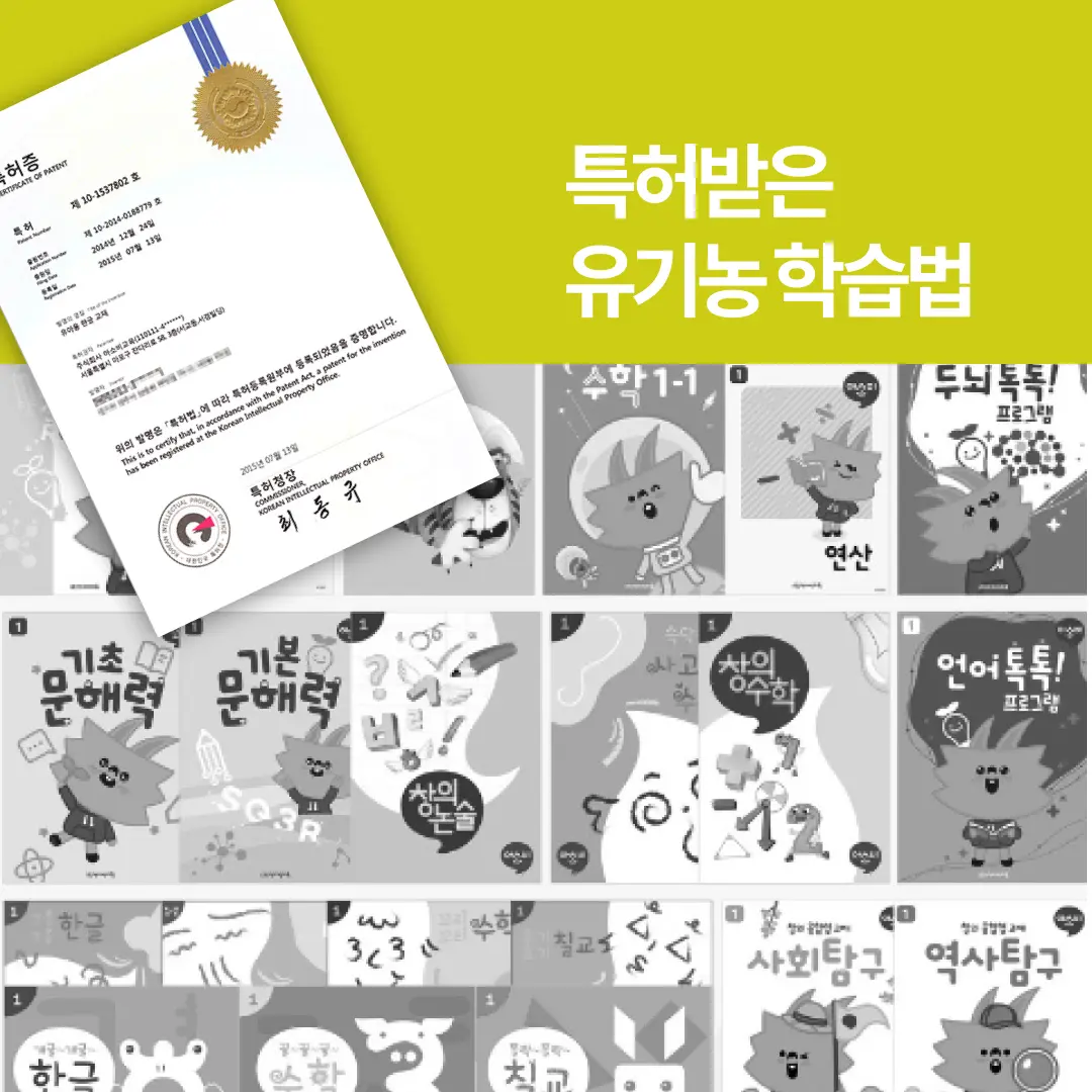 이미지 8
