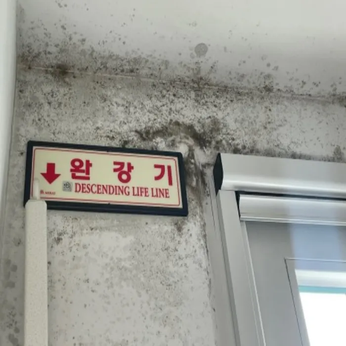 이미지 9
