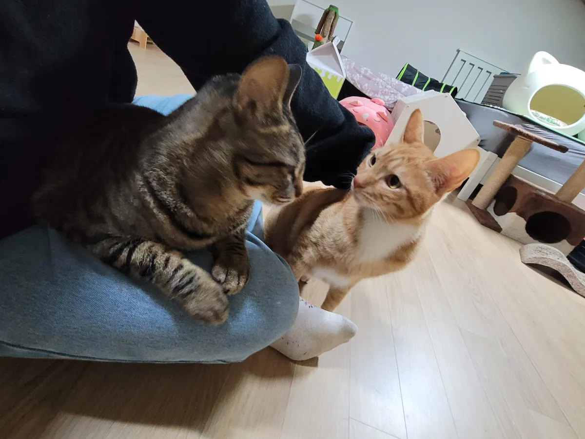 이미지 6