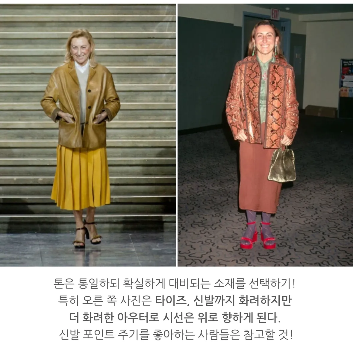 이미지 14