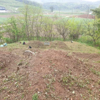 창녕 유어면 봉분 6기 약 85평 