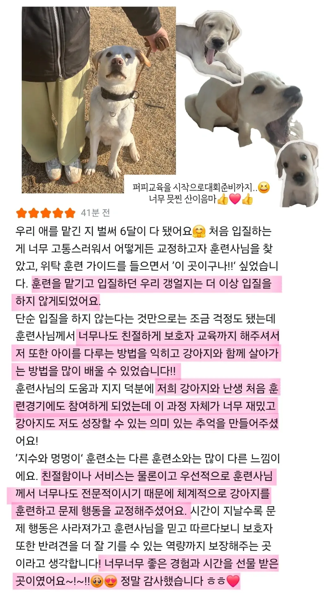 포트폴리오 이미지