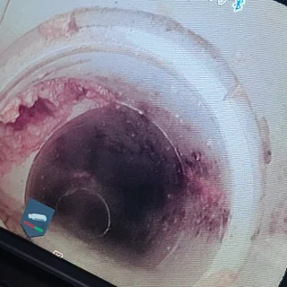 다세대 건물 하수구막힘