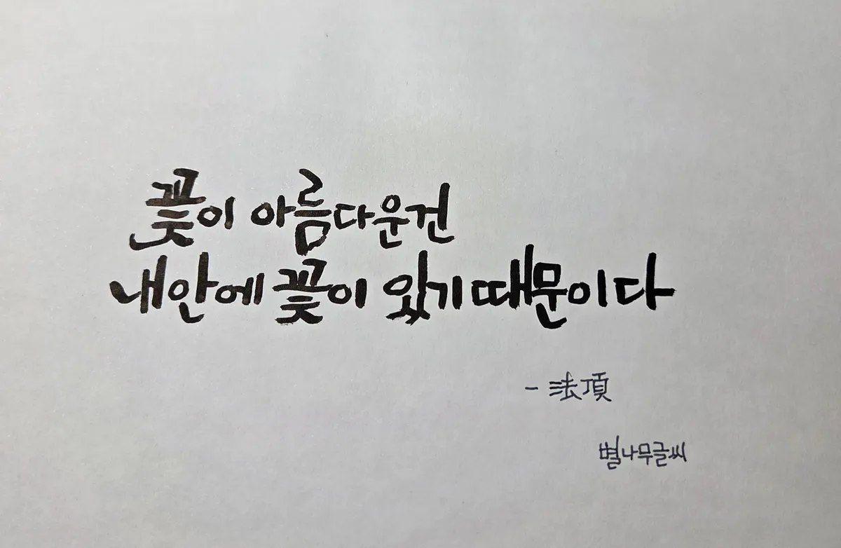 이미지 6