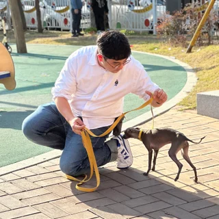 몰리&망고 교육