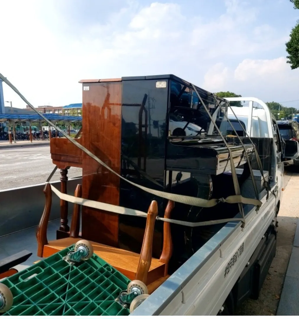 이미지 5