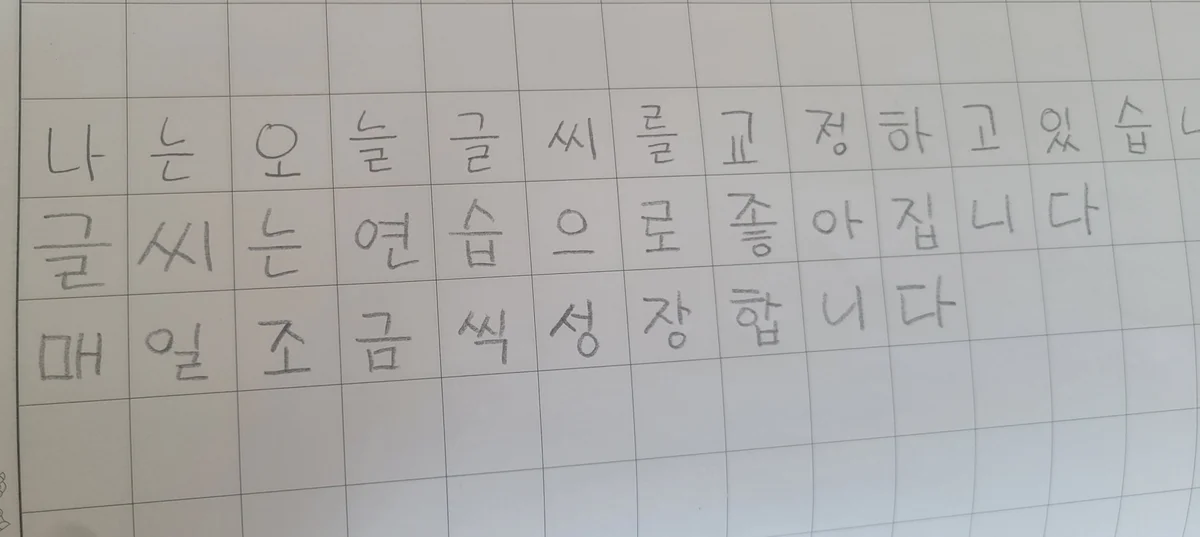 이미지 4