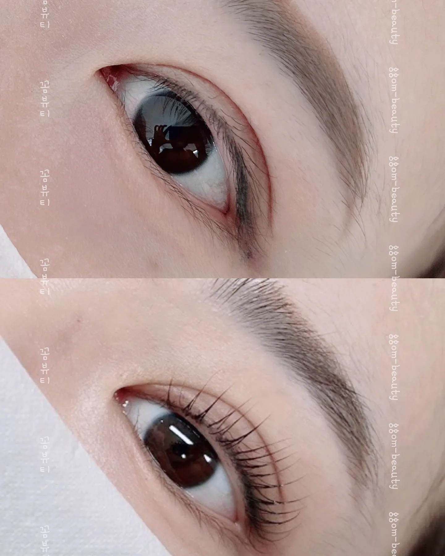 이미지 8