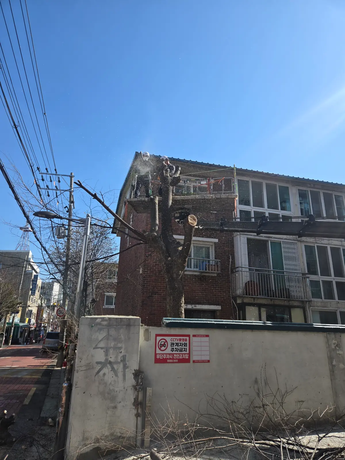 이미지 3